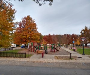 The October to December 2024 edition of the newsletter is here!